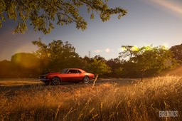 Camaro sunset