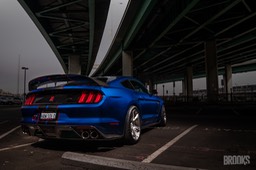 GT350rear